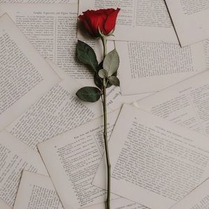 Meet your Posher, Zzoe